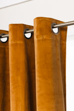 Saga Lejongul 240 cm - Sammetsgardin 2-pack